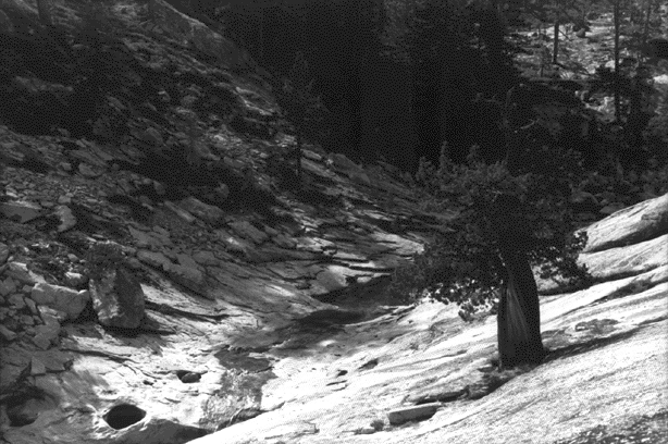 Yosemite, août 92